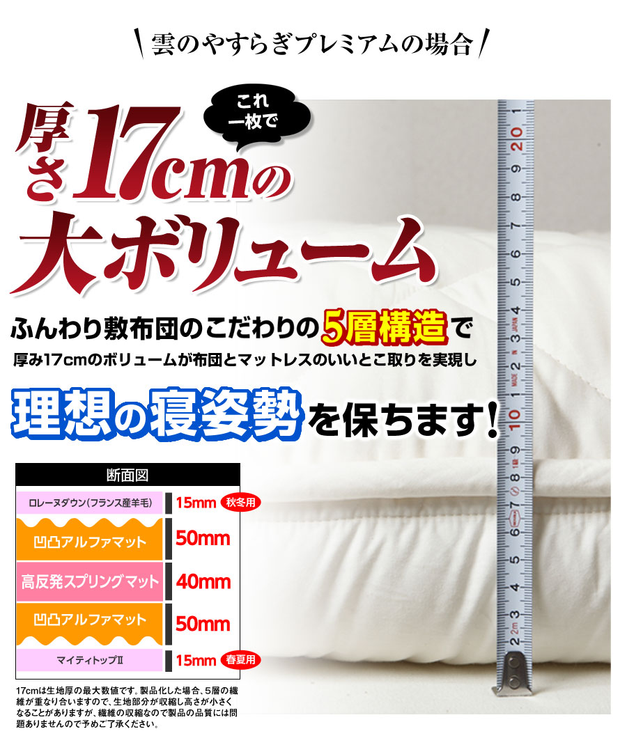 _̂₷炬v~A͂ӂ~zcŏ17cm