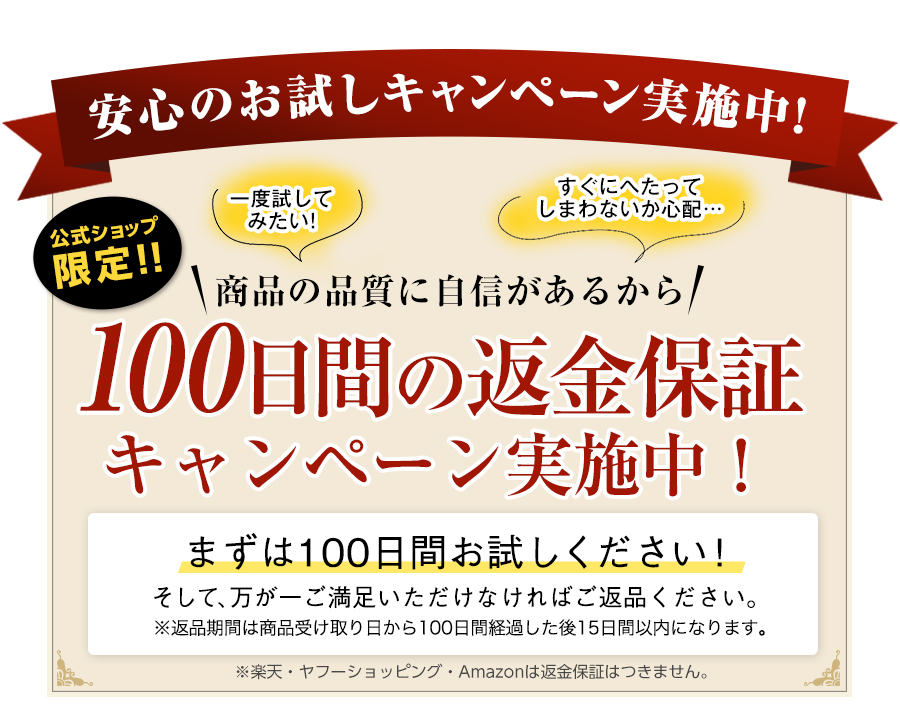 512E531܂ł̊ԌI_i̕iɎM邩/100Ԃ̕ԋۏ؃Ly[{I܂100ԂIāAꂲȂ΂ԕiB