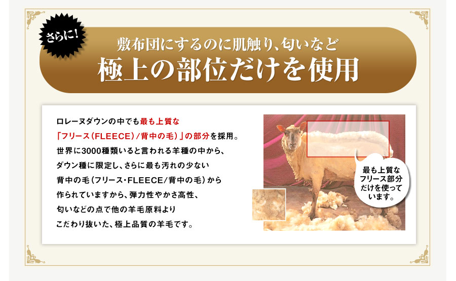 ɁI~zcɂ̂ɔGAȂǋɏ̕ʂgp[k_E̒łł㎿ȁut[Xiekddbdj/w̖сjv̗̕pBE3000ނƌr̒A_EɌ肵Aɍł̏Ȃw̖сit[XEekddbd/w̖сjĂ܂Ae͐₩AȂǂ̓_ő̗rь肱蔲Aɏi̗rтłB